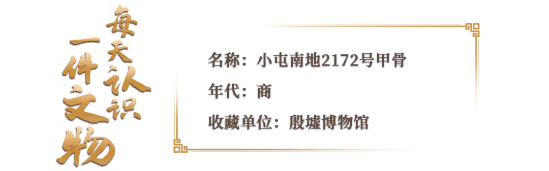 文博日歷丨透過這片“明星甲骨”，一起尋找漢字的源頭！