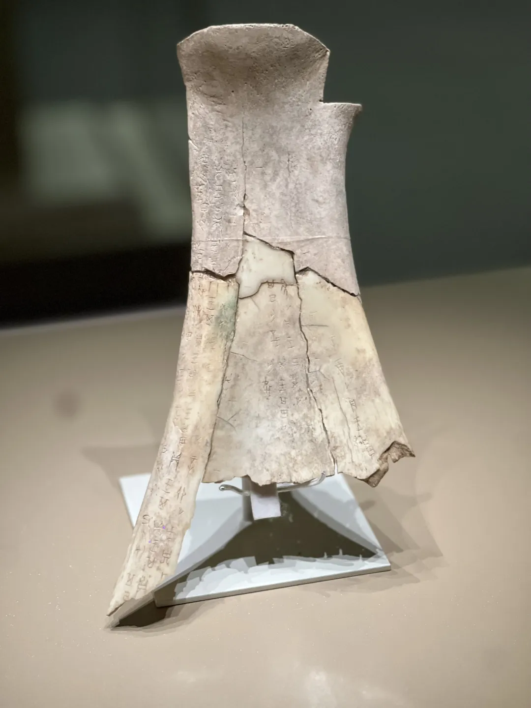 文博日歷丨透過這片“明星甲骨”，一起尋找漢字的源頭！