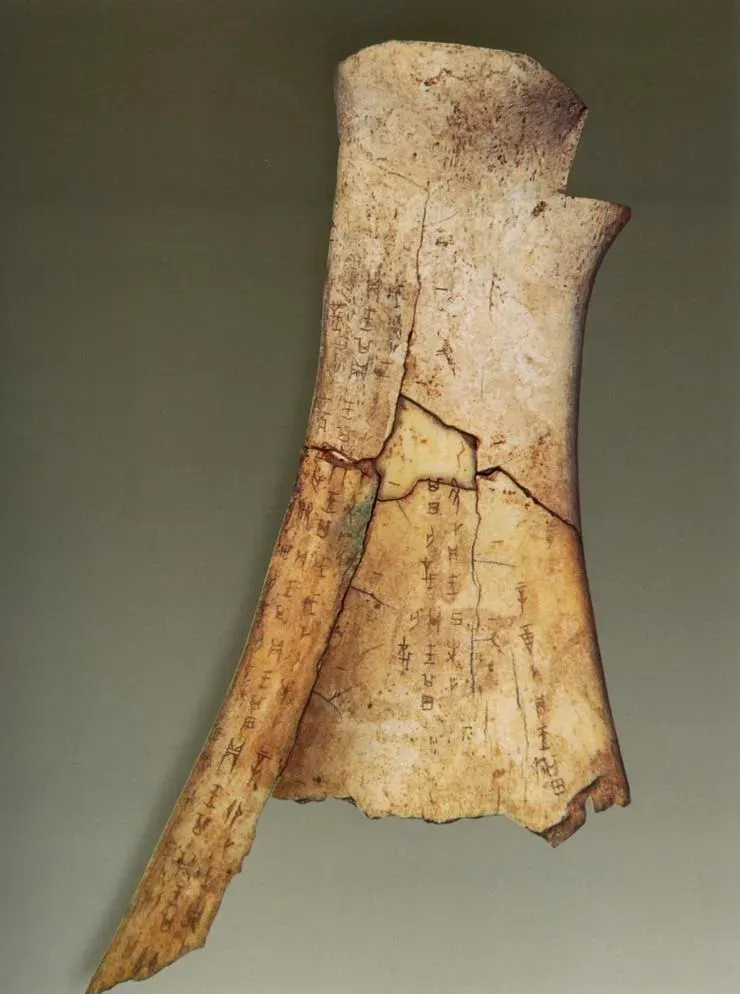 文博日歷丨透過這片“明星甲骨”，一起尋找漢字的源頭！