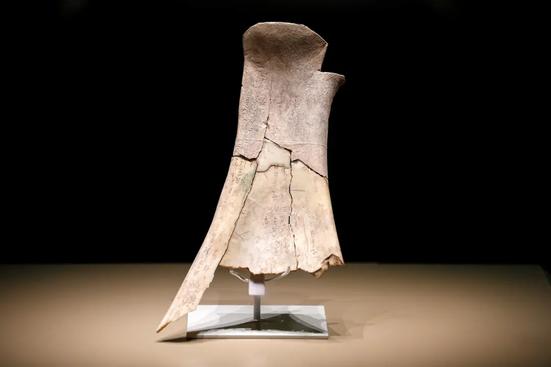 文博日歷丨透過這片“明星甲骨”，一起尋找漢字的源頭！