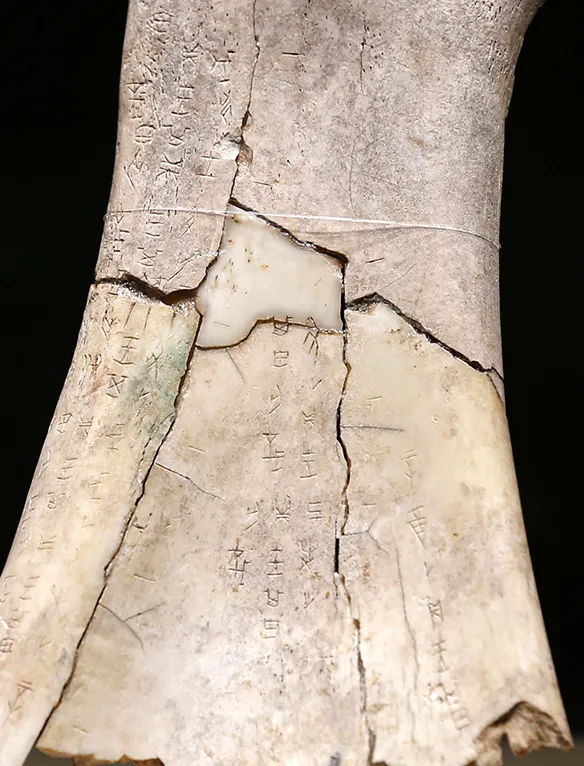 文博日歷丨透過這片“明星甲骨”，一起尋找漢字的源頭！