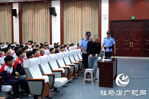  平輿縣人民法院：解鎖“開學(xué)第一課”新上“法”