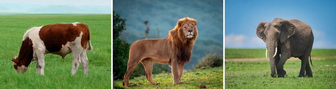 文博日歷丨三種文化符號“同框” 見證跨越千年的絲綢之路