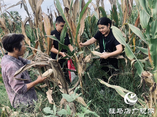 中國(guó)人壽財(cái)險(xiǎn)駐馬店中支開(kāi)展“為民辦實(shí)事 助農(nóng)秋收”專項(xiàng)幫扶活動(dòng)