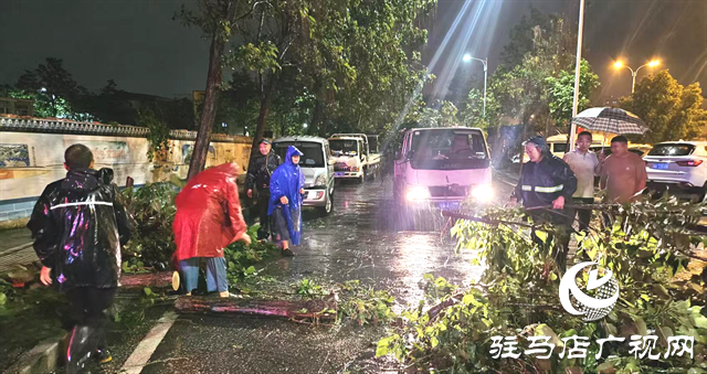  開發(fā)區(qū)城市管理事務中心深夜奮戰(zhàn) 及時清除倒樹 守護師生“腳下安全”
