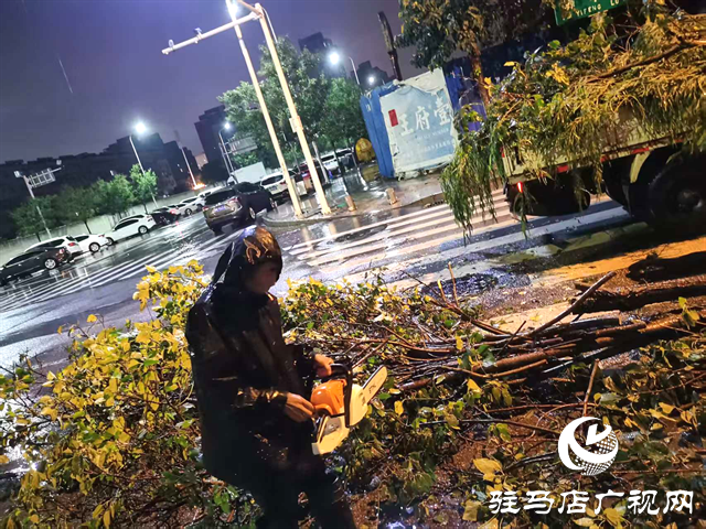  開發(fā)區(qū)城市管理事務中心深夜奮戰(zhàn) 及時清除倒樹 守護師生“腳下安全”