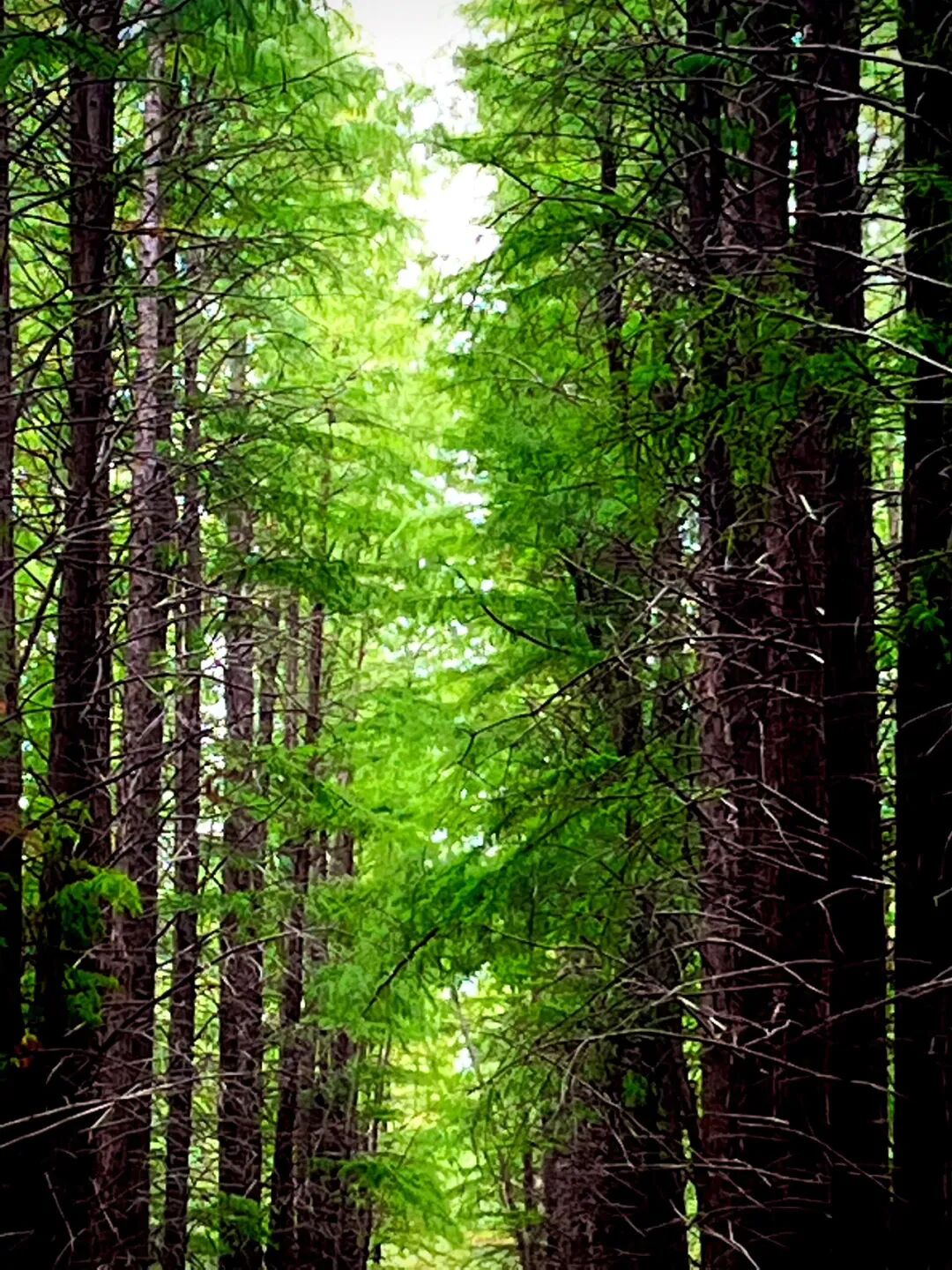 這里是駐馬店李朝京