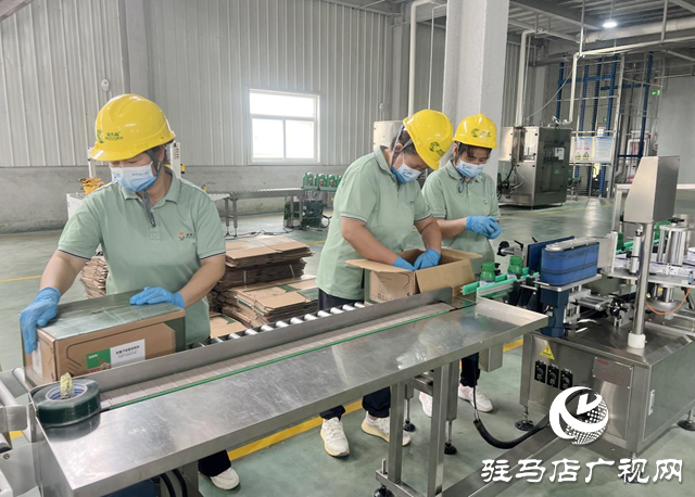 康拓森（駐馬店）生物科技：創(chuàng)新驅(qū)動 聚力攻堅 三季度沖刺成效顯著