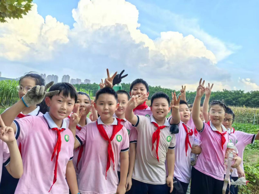 駐馬店市第三十三小學(xué) “耕讀園” 勞動(dòng)實(shí)踐：田間薅花生 耕耘悟成長