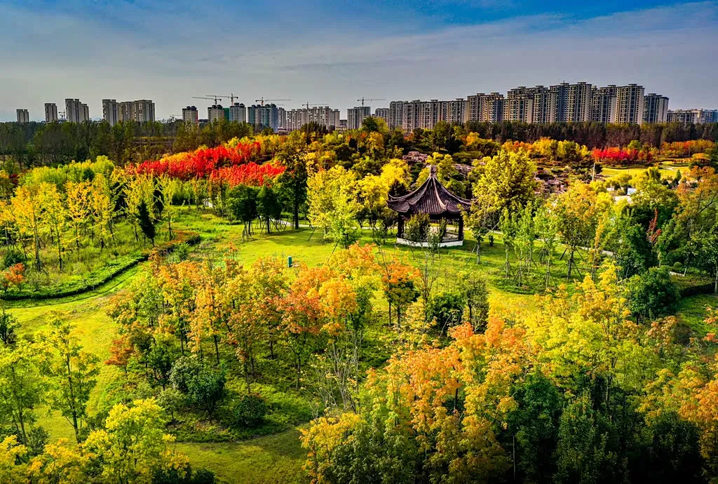 縣區(qū)動態(tài) | 朝霞映日晨光美