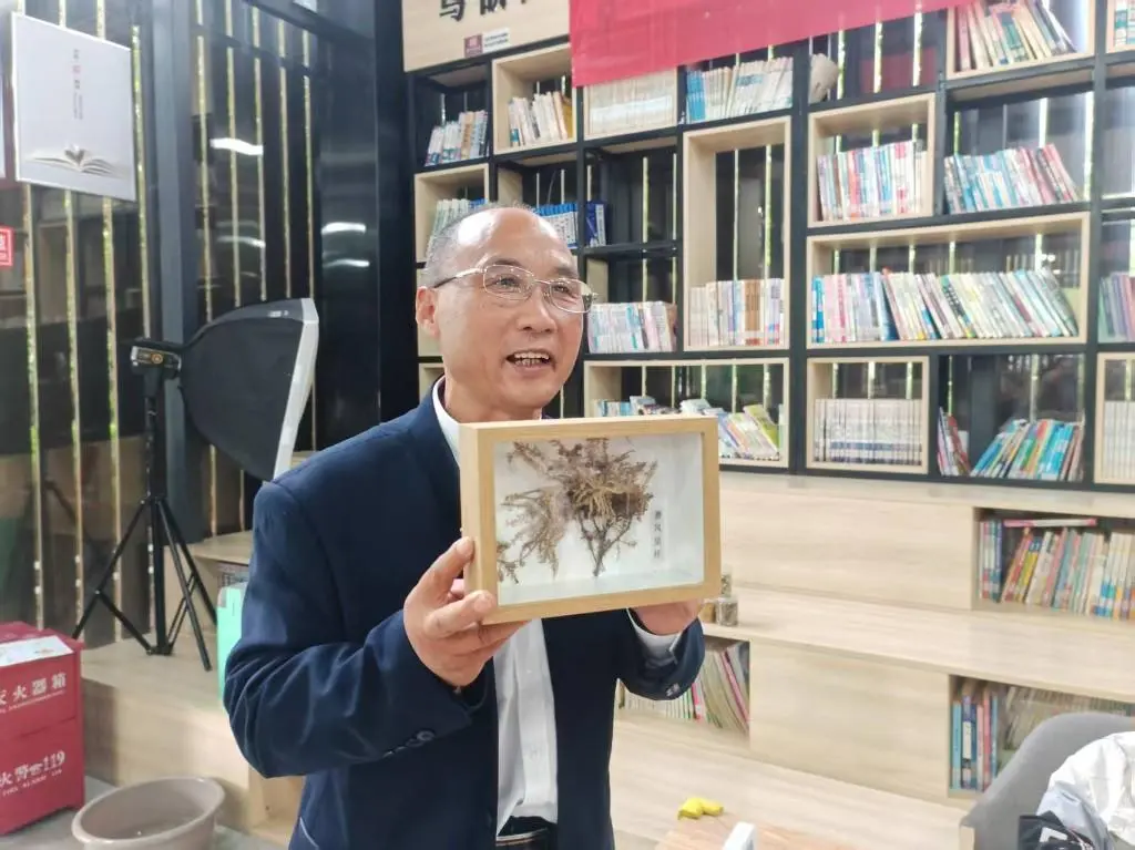 探秘非遺蓍草 傳承天中文脈 | 駐馬店市圖書館舉辦非遺蓍草手工制作活動(dòng)