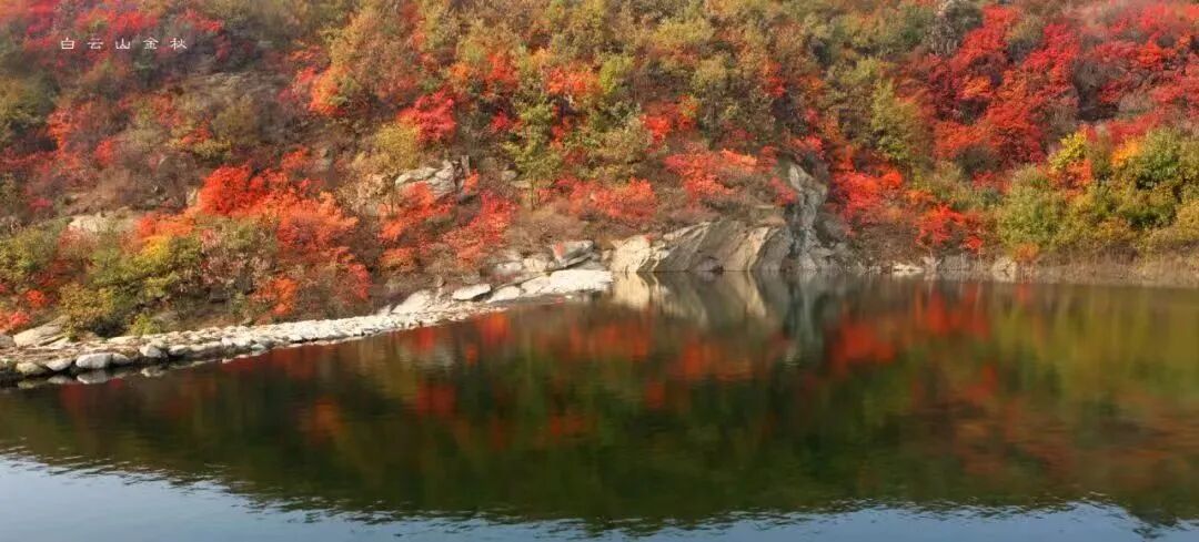 秋日漫步:橙紅橘綠時的詩意畫卷