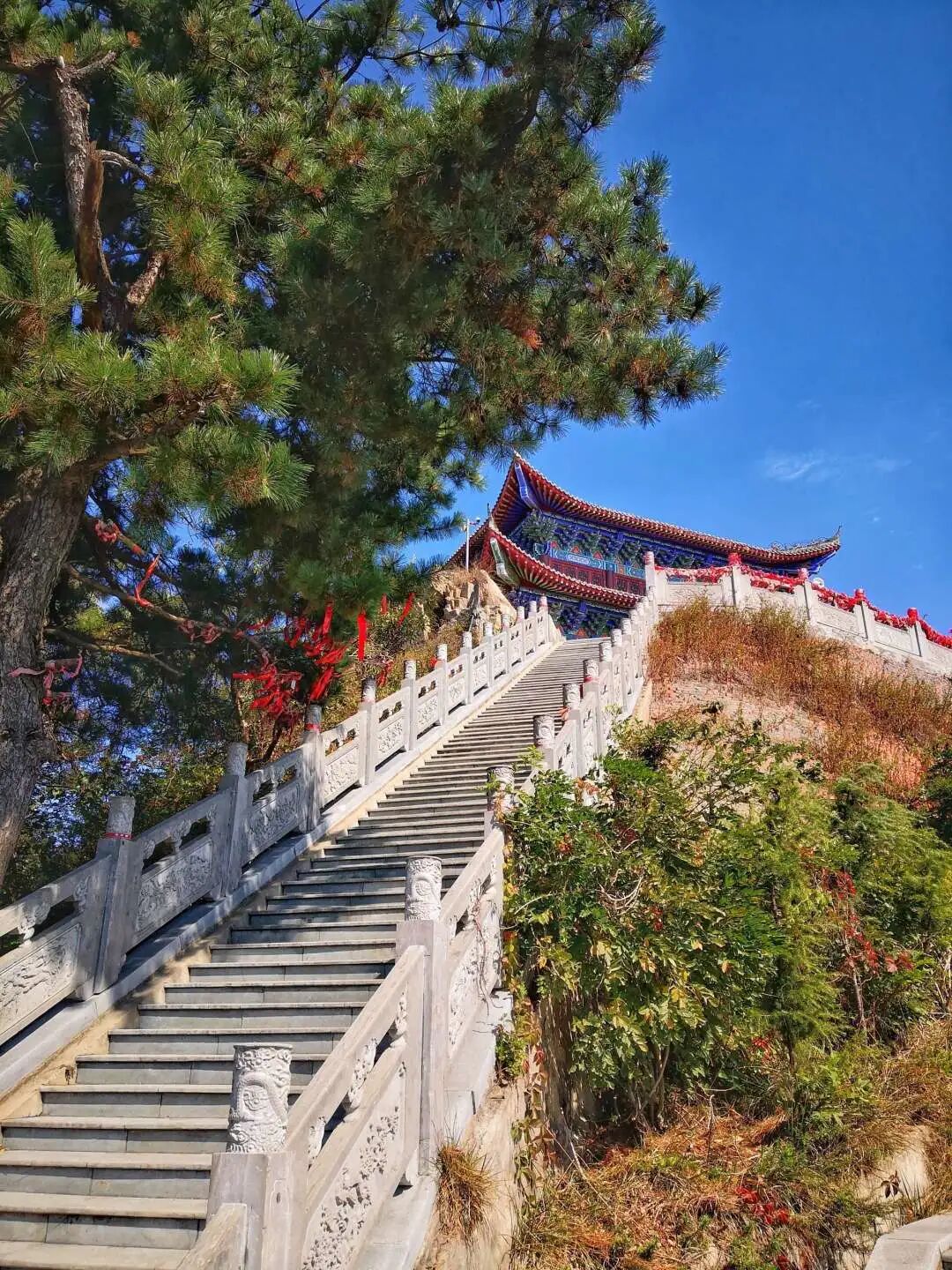 秋日漫步:橙紅橘綠時的詩意畫卷