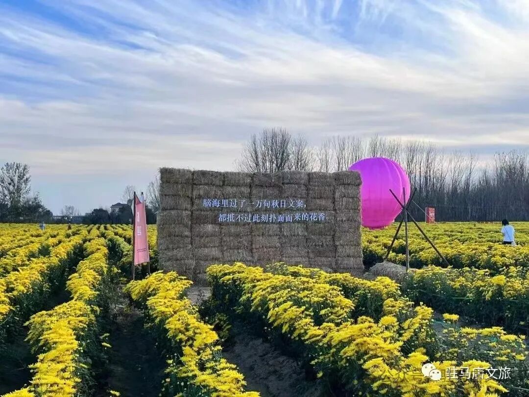 秋日漫步:橙紅橘綠時的詩意畫卷