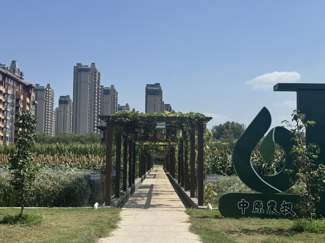 中原農(nóng)谷啟動(dòng)種肥一體化八萬畝示范田建設(shè)