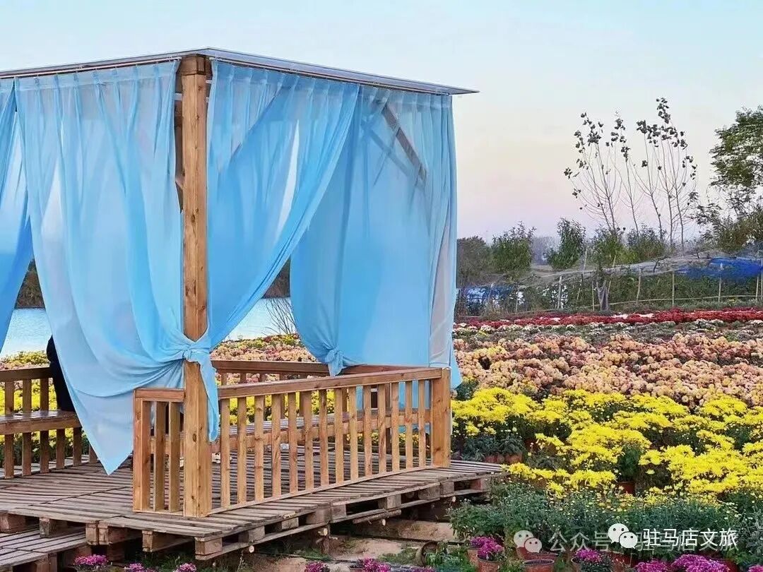 秋日漫步:橙紅橘綠時的詩意畫卷