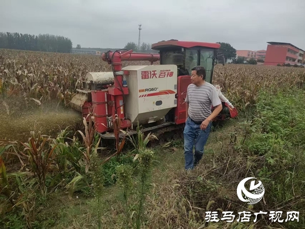 雨里搶、晴里收！平輿縣萬金店鎮(zhèn)干群接力“戰(zhàn)”天氣、護糧倉