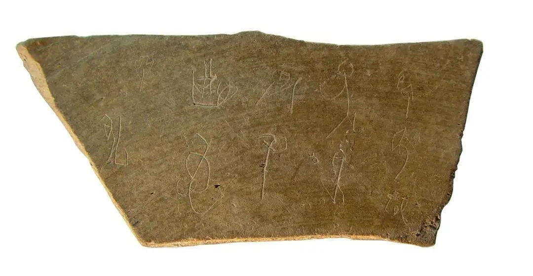 文博日歷丨山東大學收藏的這兩只小鳥 已經(jīng)飛了2800多年