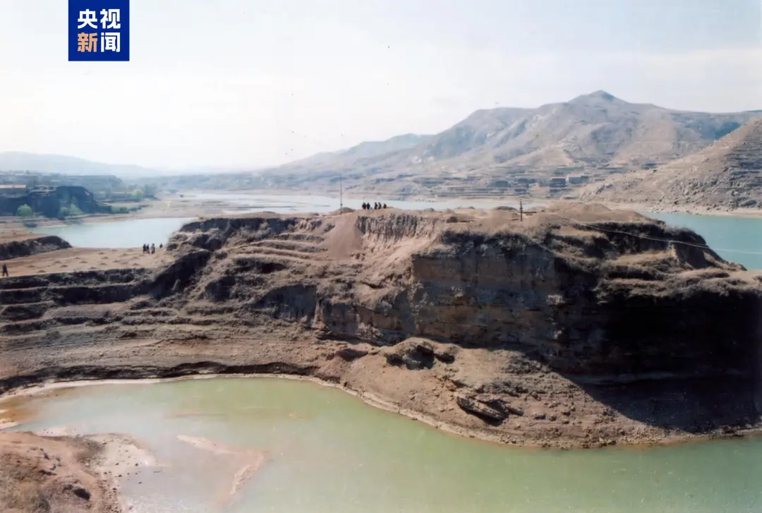 文博日歷丨山東大學收藏的這兩只小鳥 已經(jīng)飛了2800多年