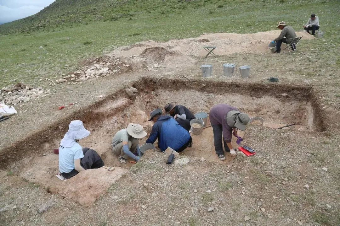 文博日歷丨這塊石碑“一字三體” 竟是古代“官方教科書(shū)”