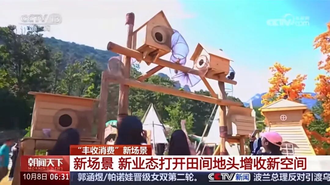 人民日?qǐng)?bào)、央視聚焦60余次！