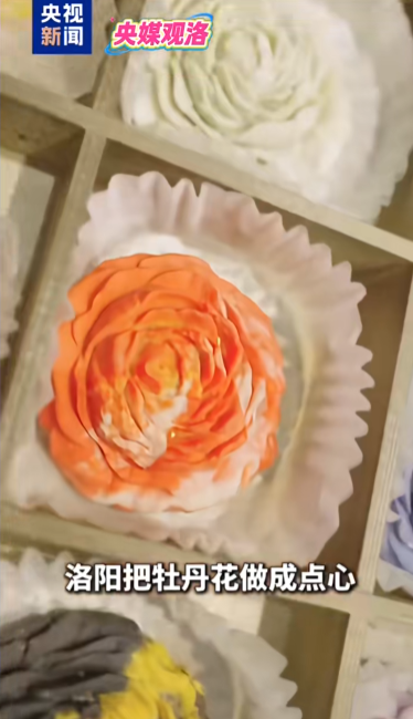 人民日?qǐng)?bào)、央視聚焦60余次！