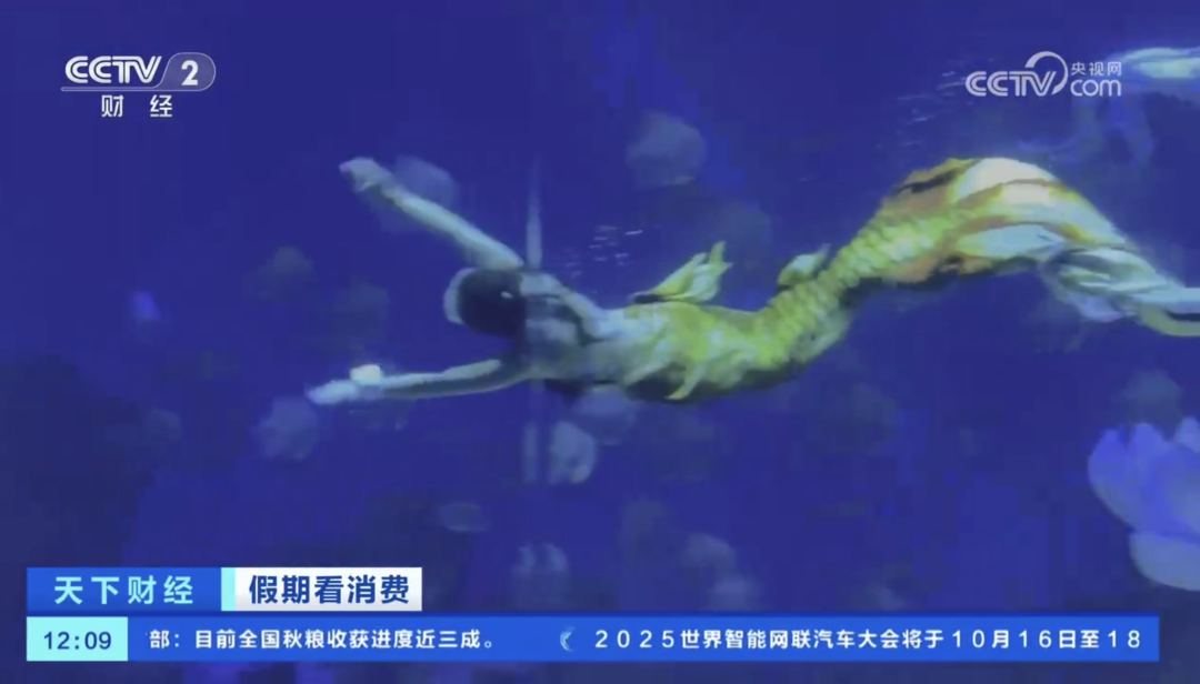 人民日?qǐng)?bào)、央視聚焦60余次！