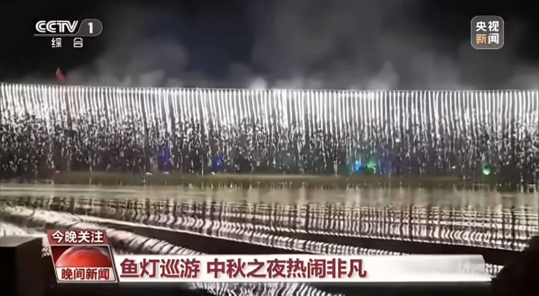 人民日?qǐng)?bào)、央視聚焦60余次！