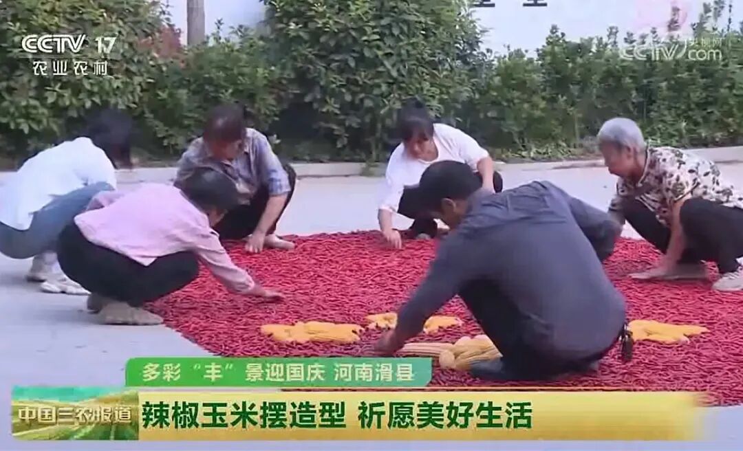 人民日?qǐng)?bào)、央視聚焦60余次！