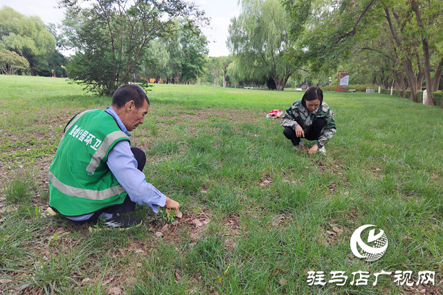 駐馬店置地公園：秋季養(yǎng)護正當時 筑牢綠植越冬“防護網(wǎng)”
