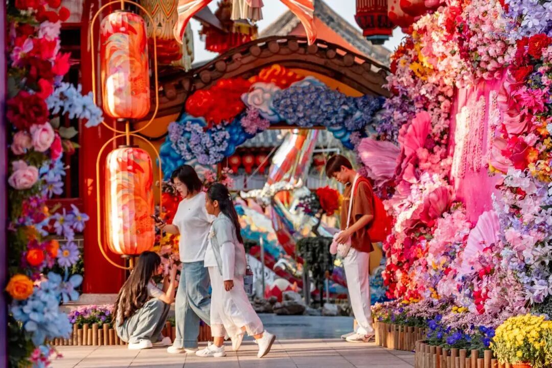 有一種浪漫，叫汴菊！