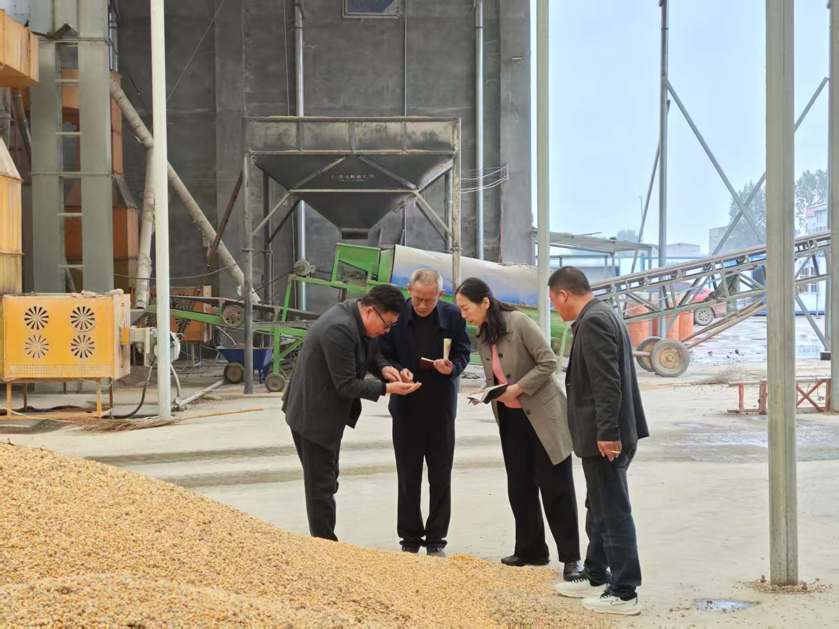 駐馬店市供銷合作社多措并舉護(hù)航秋糧收儲(chǔ)