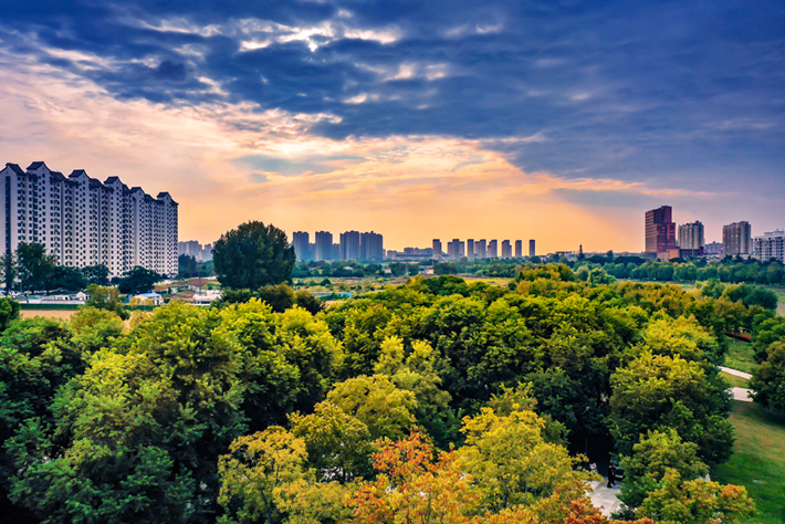 縣區(qū)動態(tài)｜草木知秋意 斑斕繪彩卷