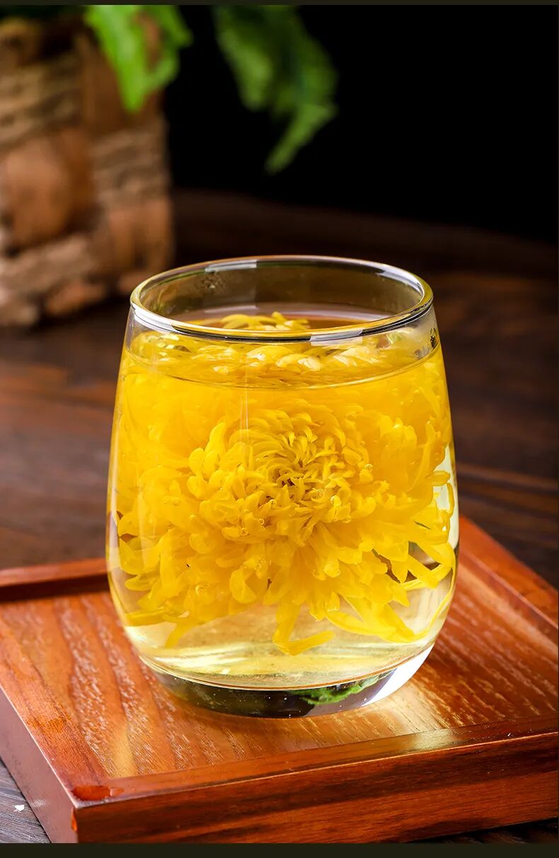 有一種浪漫，叫汴菊！