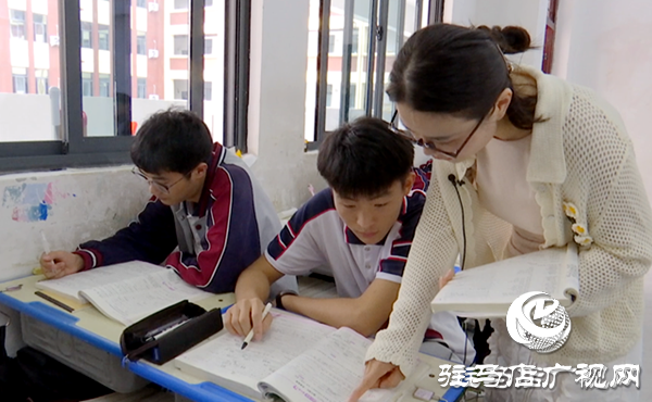  深耕“一生一策”沃土，靜待生命之花綻放