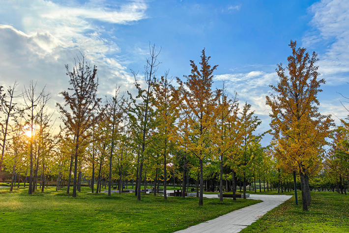 縣區(qū)動態(tài)｜草木知秋意 斑斕繪彩卷