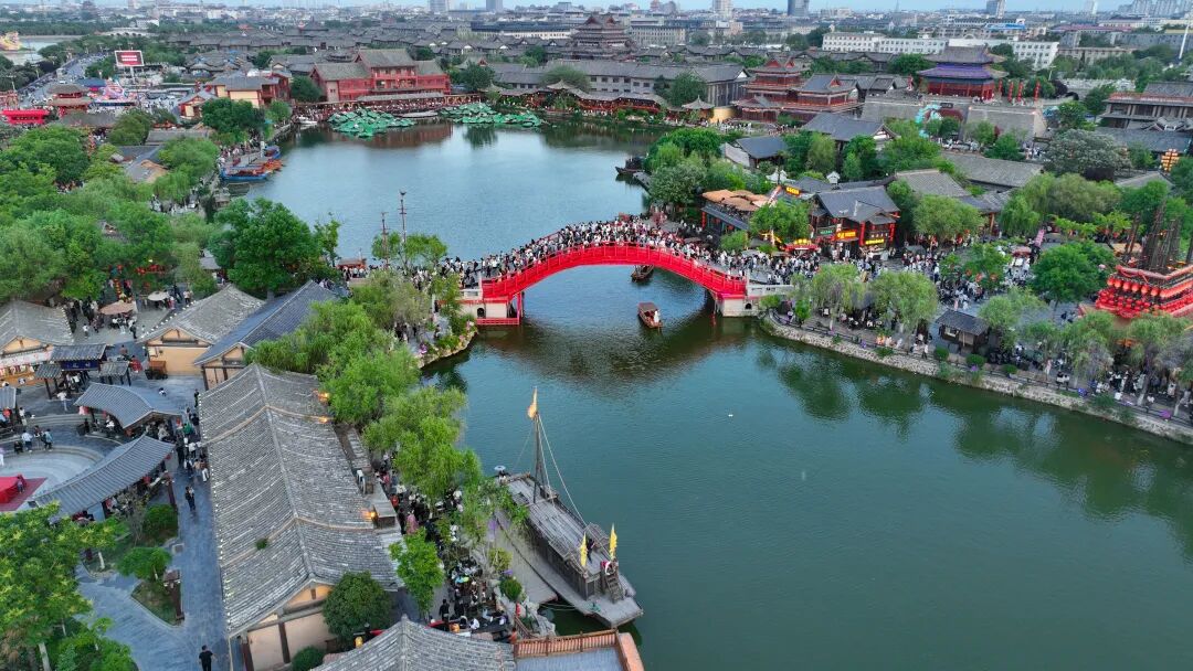 有一種浪漫，叫汴菊！