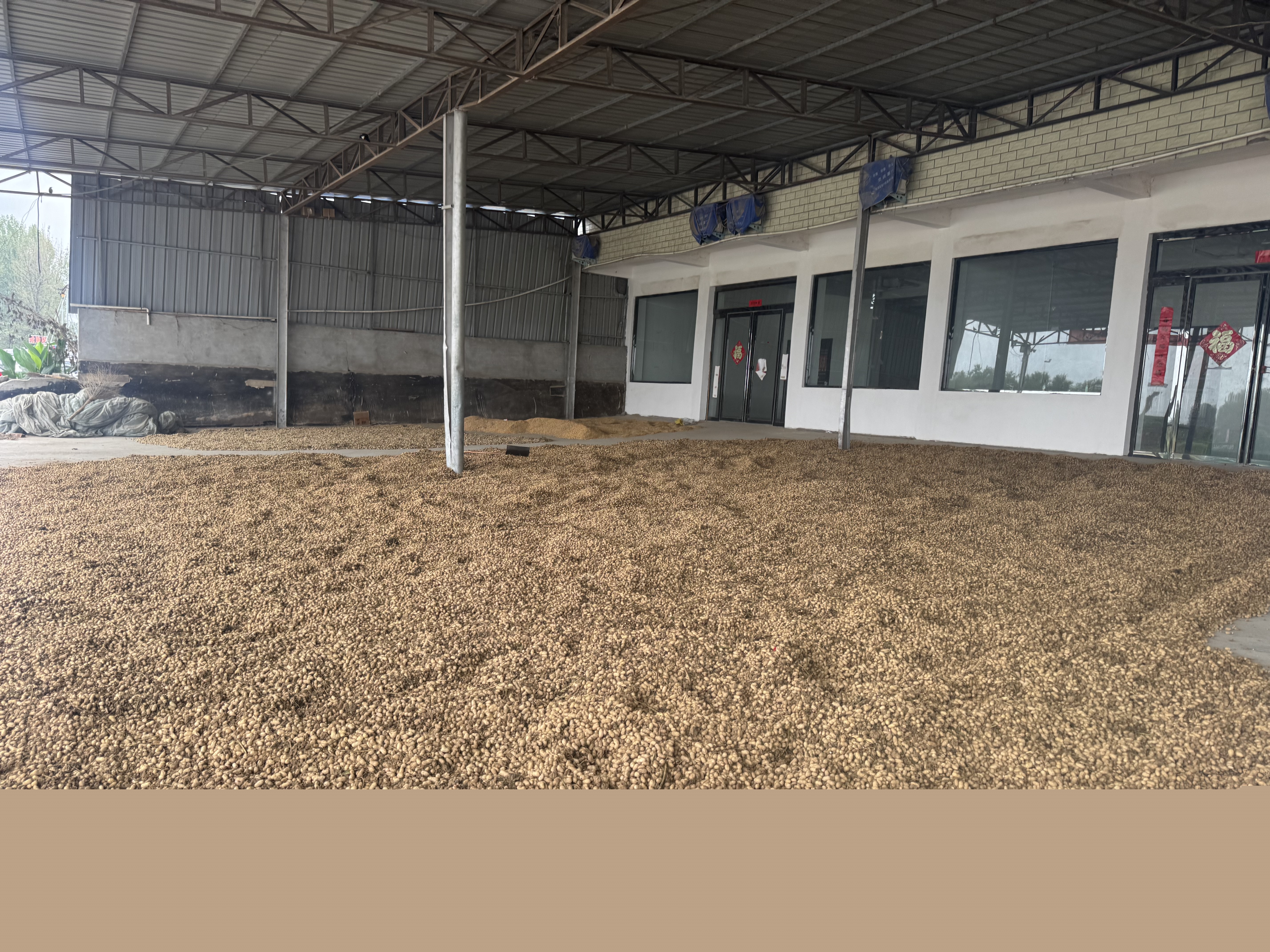 駐馬店市供銷合作社多措并舉護(hù)航秋糧收儲(chǔ)