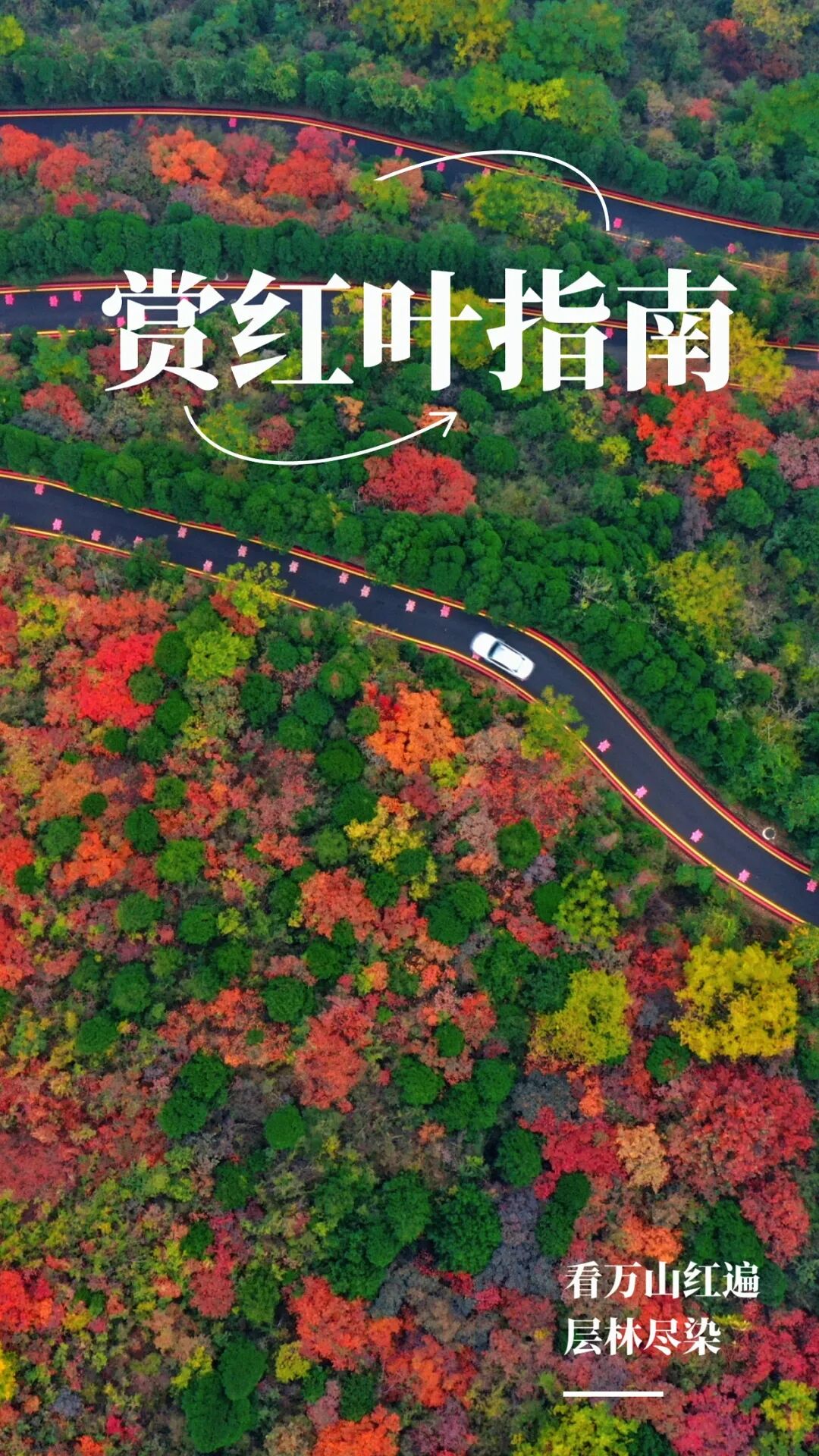 看萬山紅遍！河南賞紅葉指南來啦→