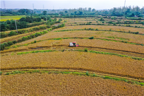 連陰雨里?！叭铩?></a></p>
		                <div   id="1vlzhd5"   class=