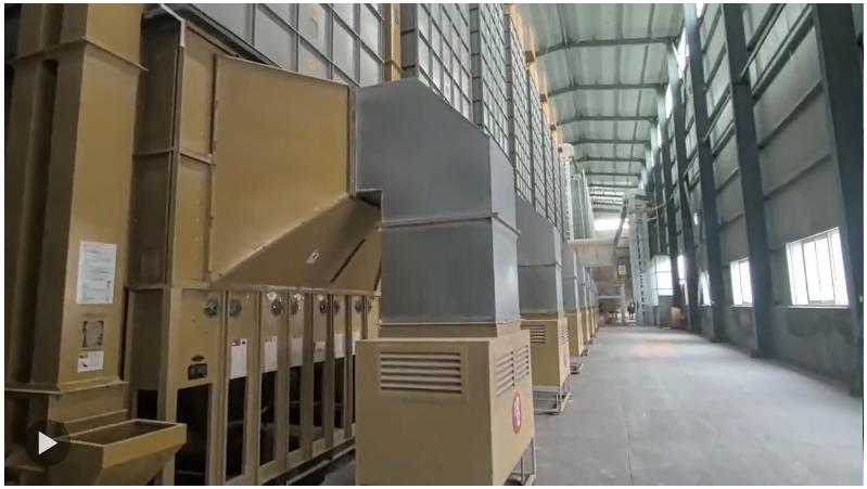 河南“爛秋雨”還沒停，秋收情況如何？有哪些解決辦法？記者實地走訪——