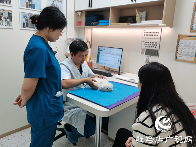 秋季寵物呼吸道與胃腸道疾病高發(fā) 專業(yè)醫(yī)師提醒科學(xué)防護(hù)?