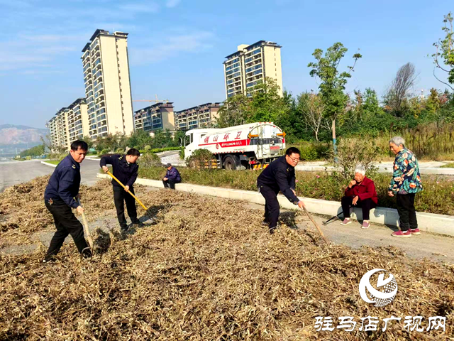 確山縣住建局：暖心解民憂 劃定專屬晾曬區(qū)守護秋收