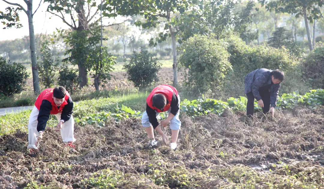 正陽縣人民檢察院開展“重陽敬老傳溫情 搶收助農(nóng)踐初心”主題黨日活動