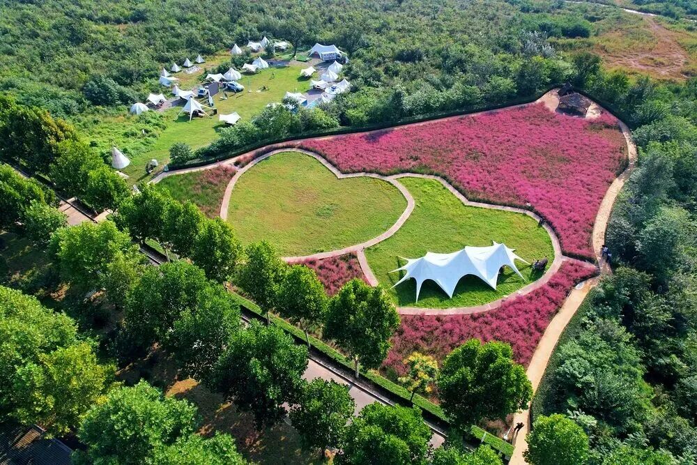 河南，被圈“粉”了！