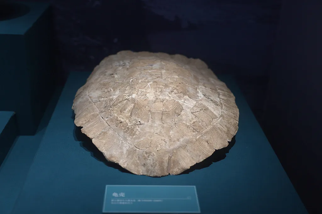 移動(dòng)“鍋架子”上 藏著長江流域大溪先民的生活日常