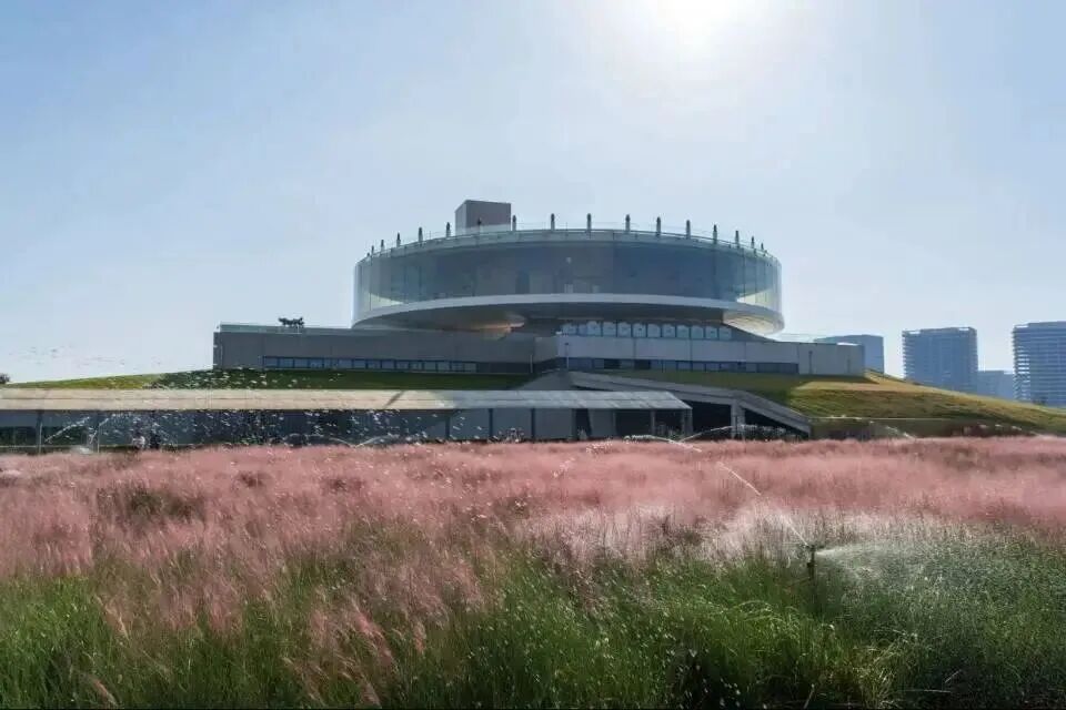 河南，被圈“粉”了！