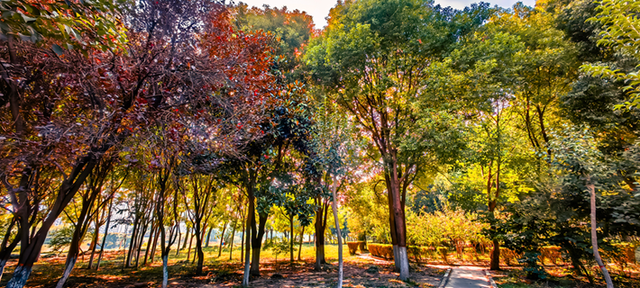 縣區(qū)動(dòng)態(tài) | 秋日晴光好 斑斕入畫來(lái)