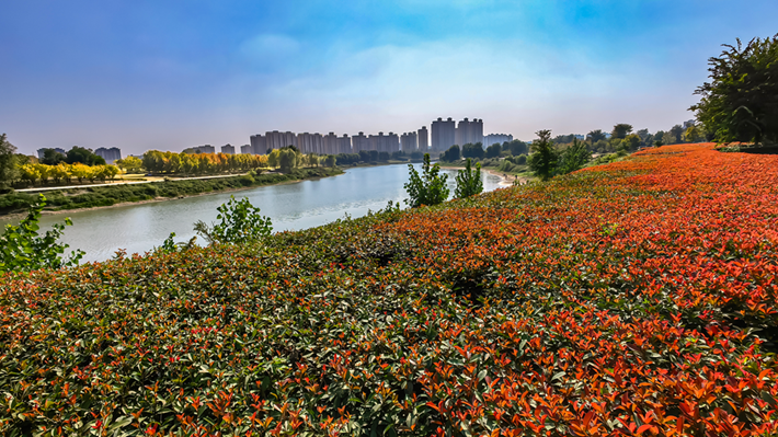 縣區(qū)動(dòng)態(tài) | 秋日晴光好 斑斕入畫來(lái)