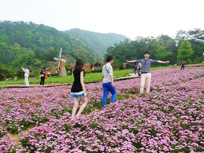前三季度國(guó)內(nèi)居民出游人次49.98億